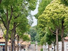-仙岳公园