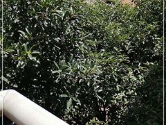 -圣爵菲斯大酒店(长沙世界之窗店)