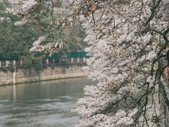 -红星桥(地铁站)