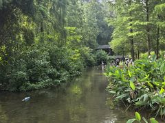 -重庆彩云湖湿地公园