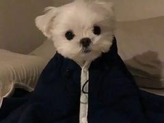 -邵子牙·中华老字号(定安路店)