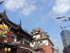-黄浦江游览快线(金陵东路码头)