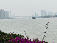 -洲头咀公园