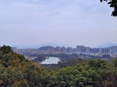 -风云岭森林公园