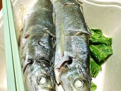 -阿季·当季酒食(后江埭店)