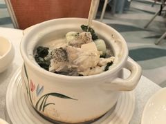 白菜仔豆腐斑腩汤-好彩海鲜酒家(帝国中心店)