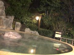 -天目湖涵田半山温泉