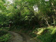 -紫霞湖公园