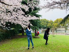 -闵行体育馆-停车场