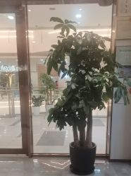 -紫颖·专业美胸·连锁养护中心