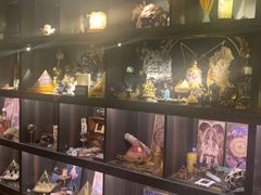 -雪灵魔法世界SHELLY’S TAROT(大良桂畔里店)