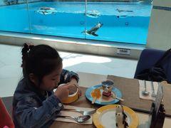 -帝企鹅自助餐厅•儿童岛•真企鹅(长隆企鹅酒店)