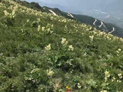 -白草畔自然风景区