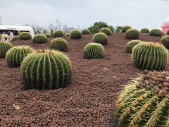 -漳州滨海火山岛自然生态风景区