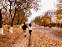 -永定河休闲森林公园