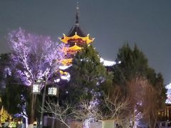 -苏州吴宫泛太平洋酒店