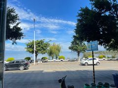 -野菌皇海景野生菌火锅(滨海大道店)