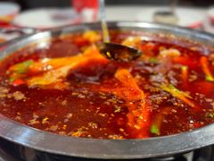 红锅锅底-蜀滋香鲜鱼美蛙火锅(339店)
