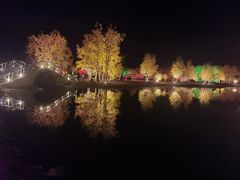-金塔沙漠胡杨林景区