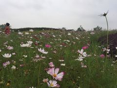 -梁鸿国家湿地公园
