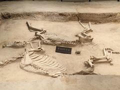 -洛阳周王城天子驾六博物馆