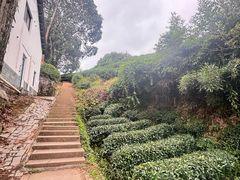 -西湖风景区十里琅珰-五云山