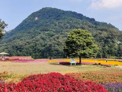 -广州市石门国家森林公园