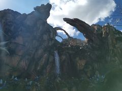 -奥兰多迪士尼动物王国乐园