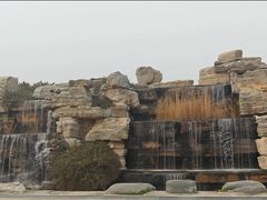 -石家庄市植物园