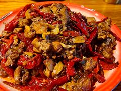 -柴窝堡22号辣子鸡·传承新疆菜