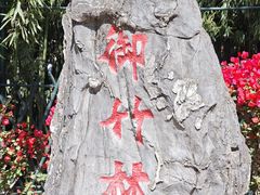 -红螺寺