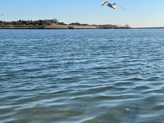 -日照灯塔风景区