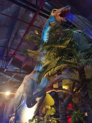 -恐龙探索乐园(磁器口店)