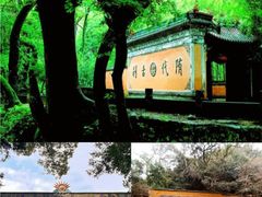-天台山景区