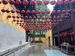 -亭林园-华藏寺