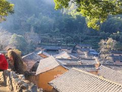 -杨家堂村