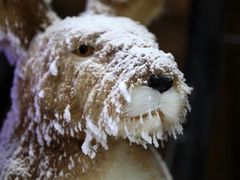 -世界之窗阿尔卑斯冰雪世界