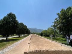 -秦始皇帝陵博物院-丽山园