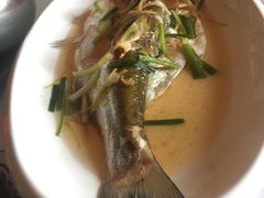 清蒸白水鱼-洞天食府(北大街店)