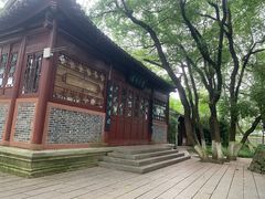 -八大山人梅湖景区