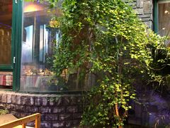 -慢丽江·云南野生菌土鸡锅(付家庄店)