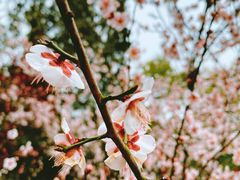 -林屋洞-游客服务中心