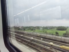 -南汇嘴观海公园