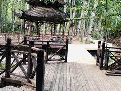 -尚庄度假村·庭台树下·户外烧烤·团建CS·轰趴营地(上庄水库店)
