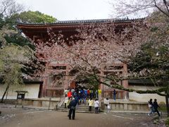 -醍醐寺