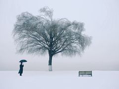 -武昌江滩