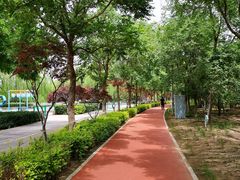 -大兴滨河森林公园