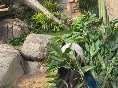 -香港海洋公园