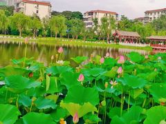 -西海子公园