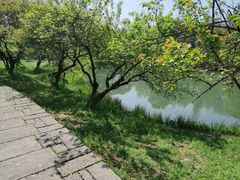 -西溪国家湿地公园